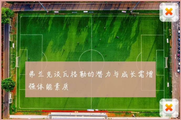 弗兰克谈瓦格勒的潜力与成长需增强体能素质