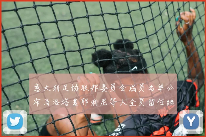 意大利足协联邦委员会成员名单公布马洛塔基耶利尼等人全员留任继续服务